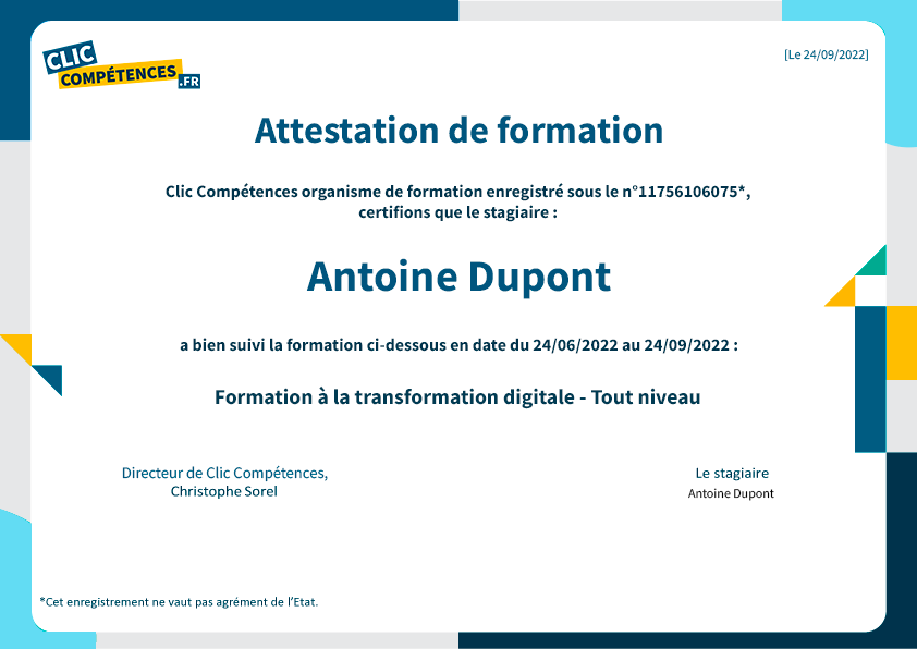 diplome formation transformation digitale