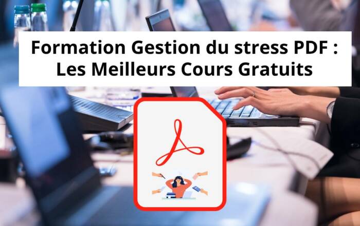 Formation Gestion du stress PDF   Les Meilleurs Cours Gratuits