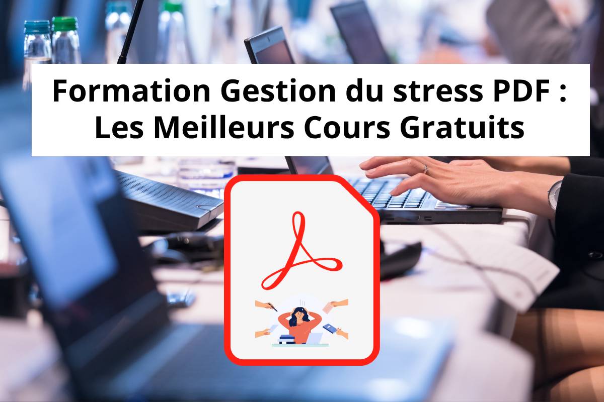 Formation Gestion du stress PDF   Les Meilleurs Cours Gratuits