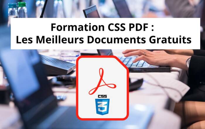 template PDF competences 3